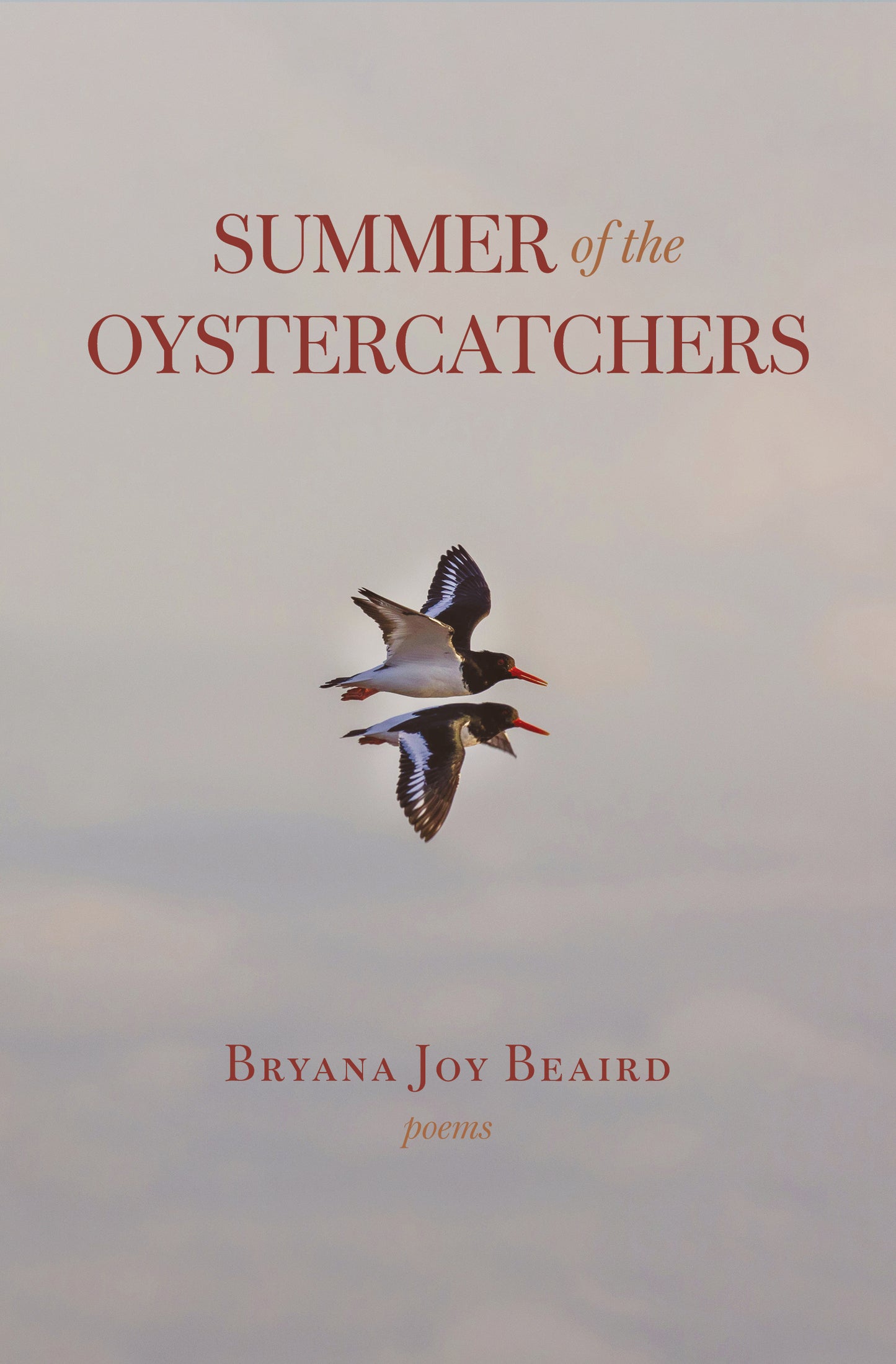 "Summer of the Oystercatchers" Poetry Collection Signed by the Author
