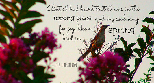 Chesterton on The Wrong Place