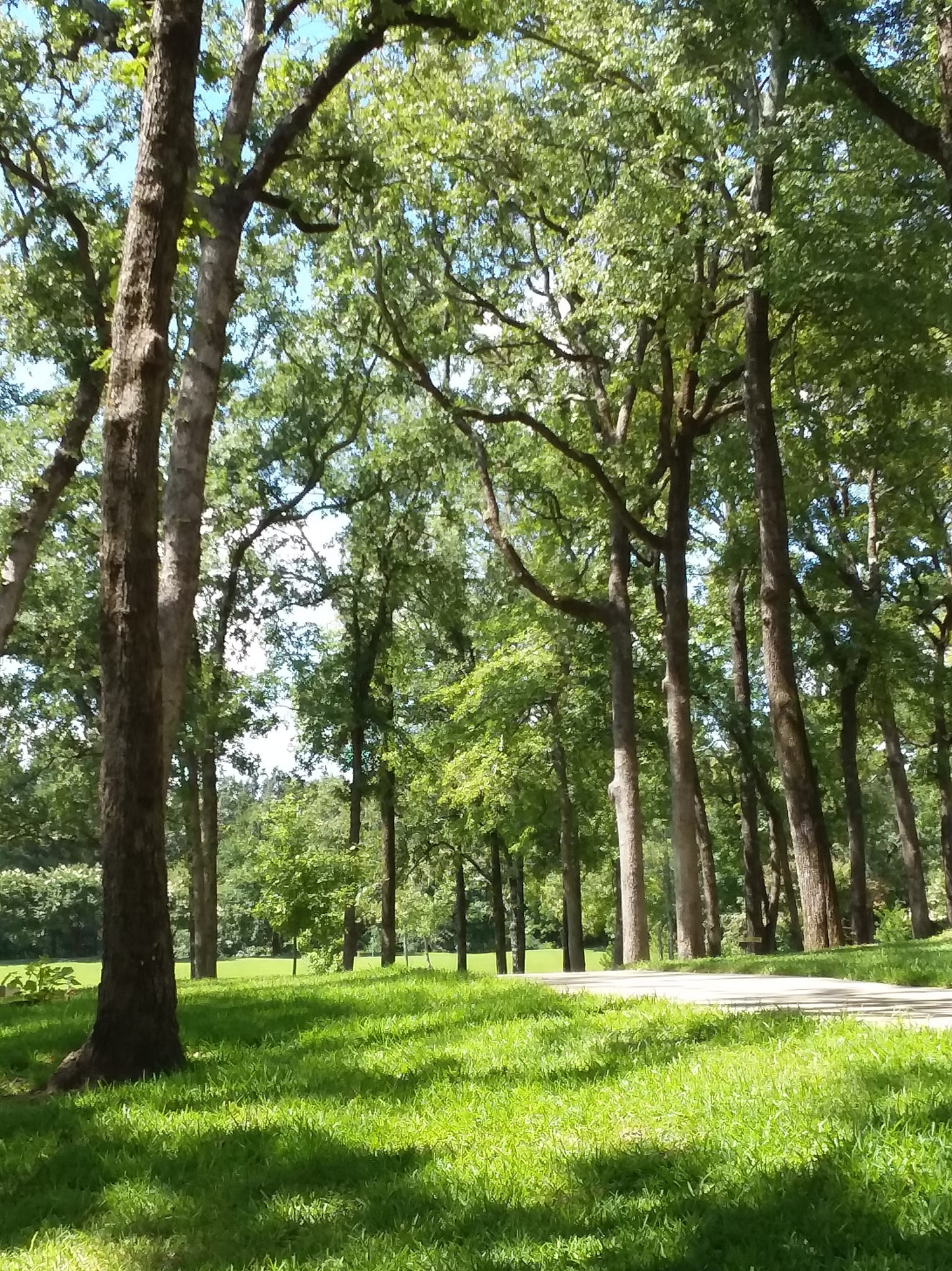 "UT Tyler Campus in Summer" (Original Watercolor Sketch)