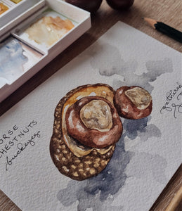 "Horse Chestnuts: Watercolor Study" (Original Sketch)