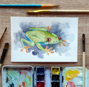 "Red-Eyed Tree Frog: Watercolor Study" (Original Sketch)