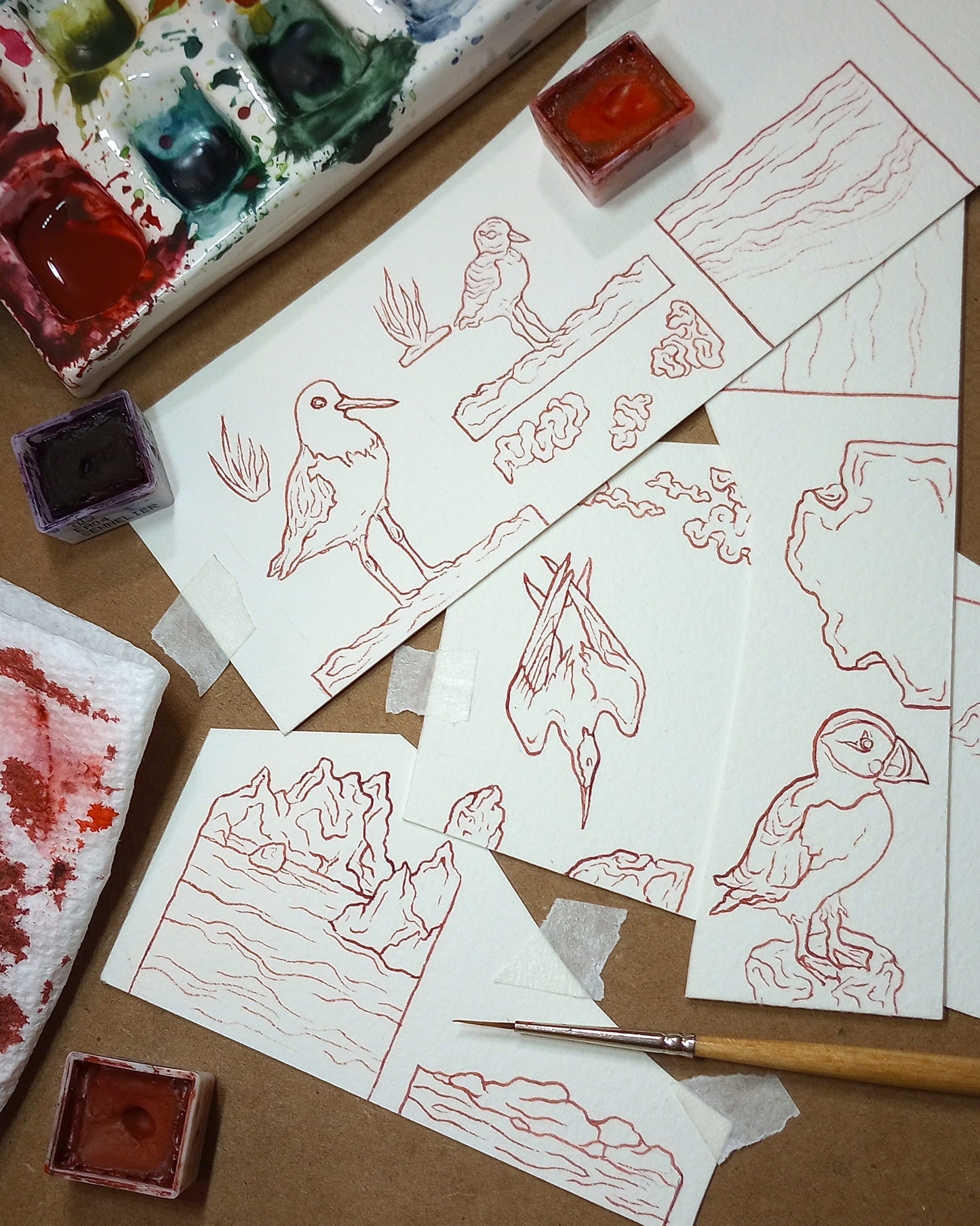 "Atlantic Puffin" — Original Watercolor Matchbox Diorama