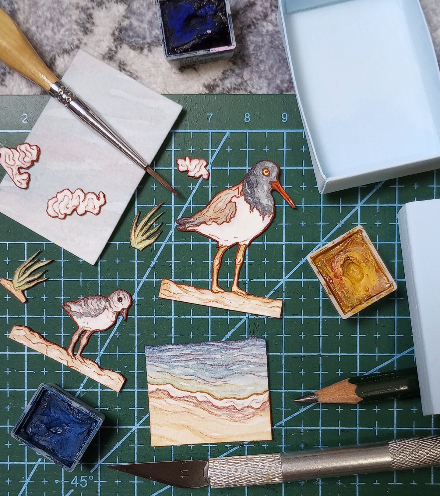 "American Oystercatchers" — Original Watercolor Matchbox Diorama