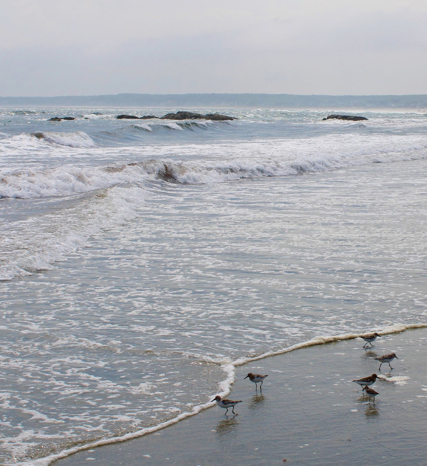 January 11 (Miniature Gouache Seascape on Wooden Panel—Unframed Original—Ocean-A-Day Collection)