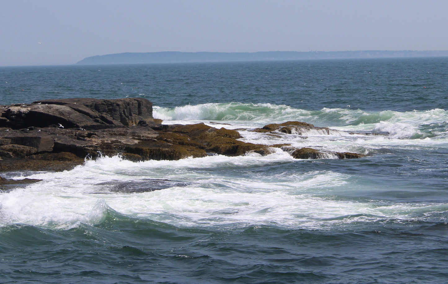 January 16 (Miniature Gouache Seascape on Wooden Panel—Unframed Original—Ocean-A-Day Collection)