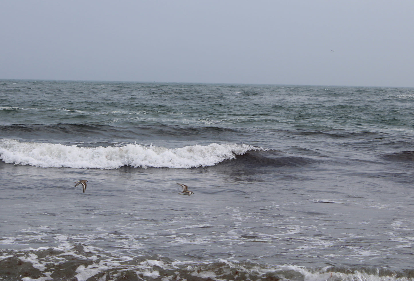 January 22 (Miniature Gouache Seascape on Wooden Panel—Unframed Original—Ocean-A-Day Collection)