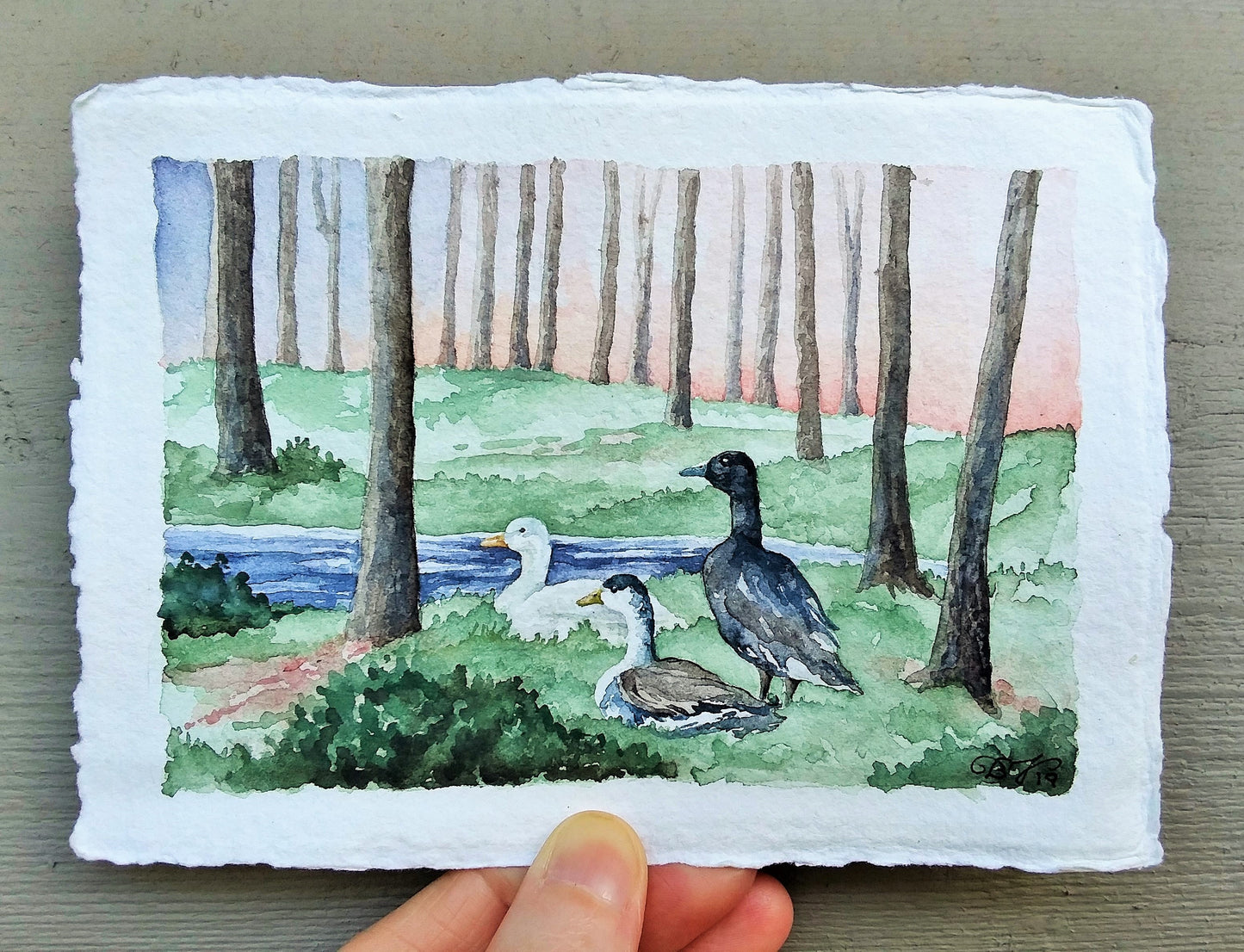 Motley Duck Sunset: Original Watercolor Painting