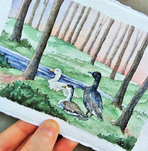 Motley Duck Sunset: Original Watercolor Painting