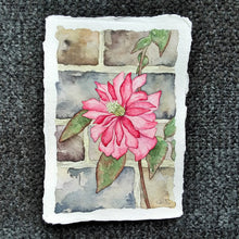 Load image into Gallery viewer, Trailing Pink in Heslington Village (Variant 2): Original Watercolor Painting