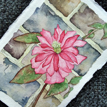 Load image into Gallery viewer, Trailing Pink in Heslington Village (Variant 2): Original Watercolor Painting