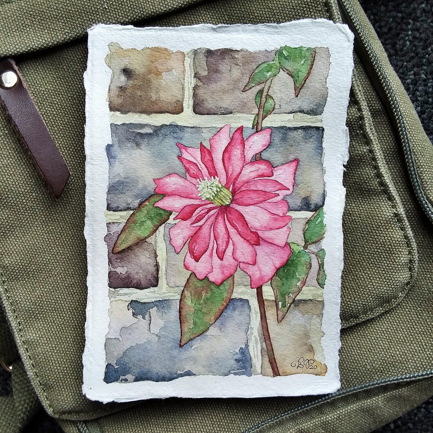 Trailing Pink in Heslington Village (Variant 2): Original Watercolor Painting