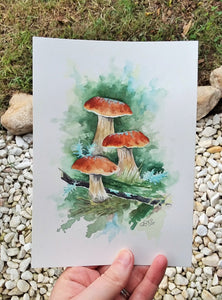 Mushroom Study I: Original Watercolor Sketch