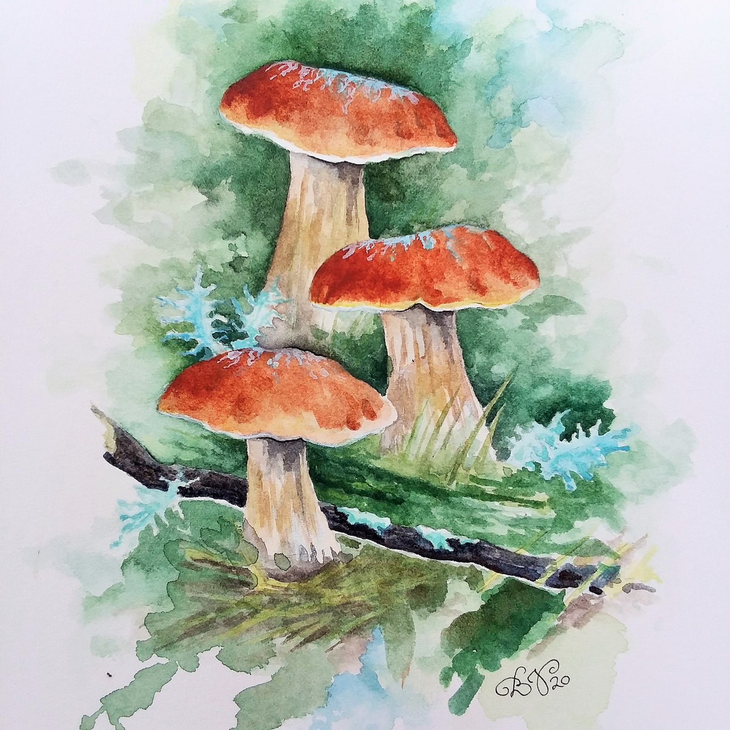 Mushroom Study I: Original Watercolor Sketch