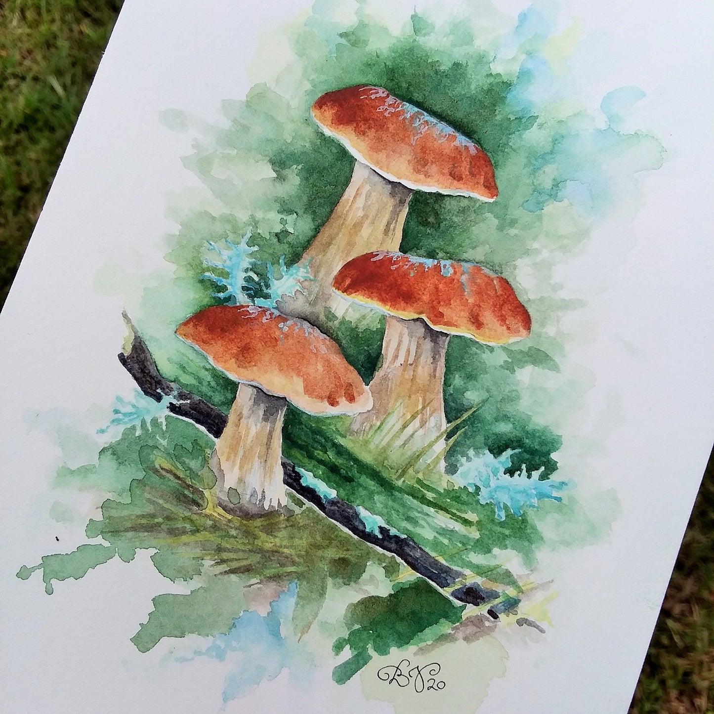 Mushroom Study I: Original Watercolor Sketch