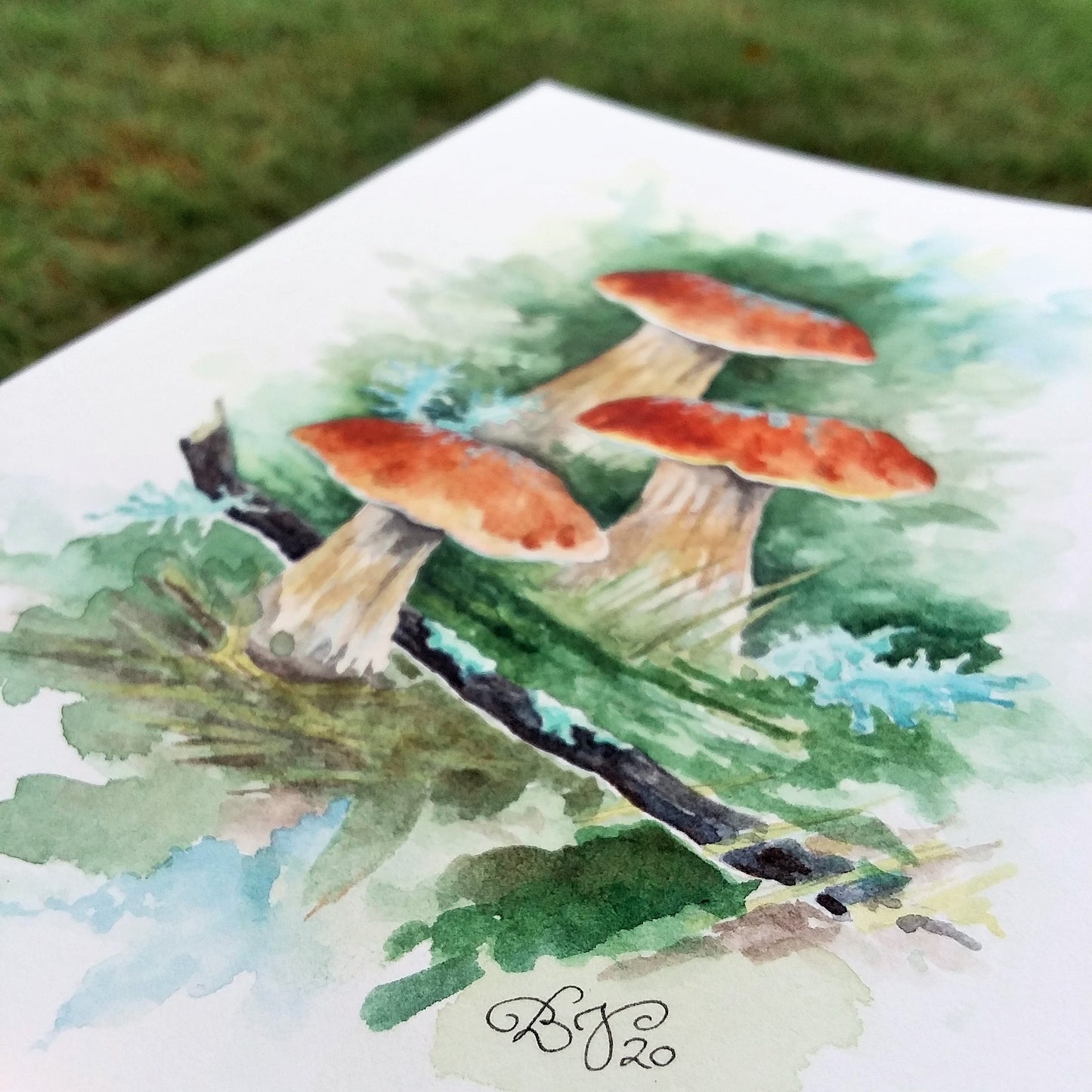 Mushroom Study I: Original Watercolor Sketch