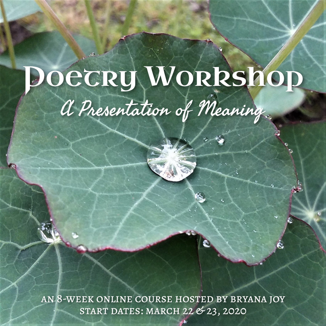 Poetry Workshop Registration: A Presentation of Meaning (Spring 2021)