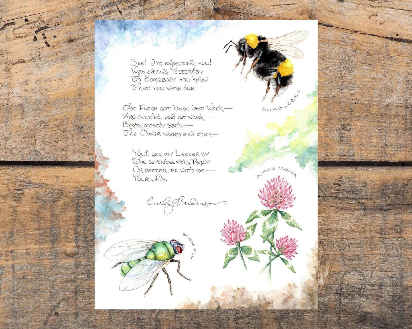 "Bee! I'm Expecting You!" (Emily Dickinson): 8.5x11 Fine Art Print featuring artwork from Letter No. 17