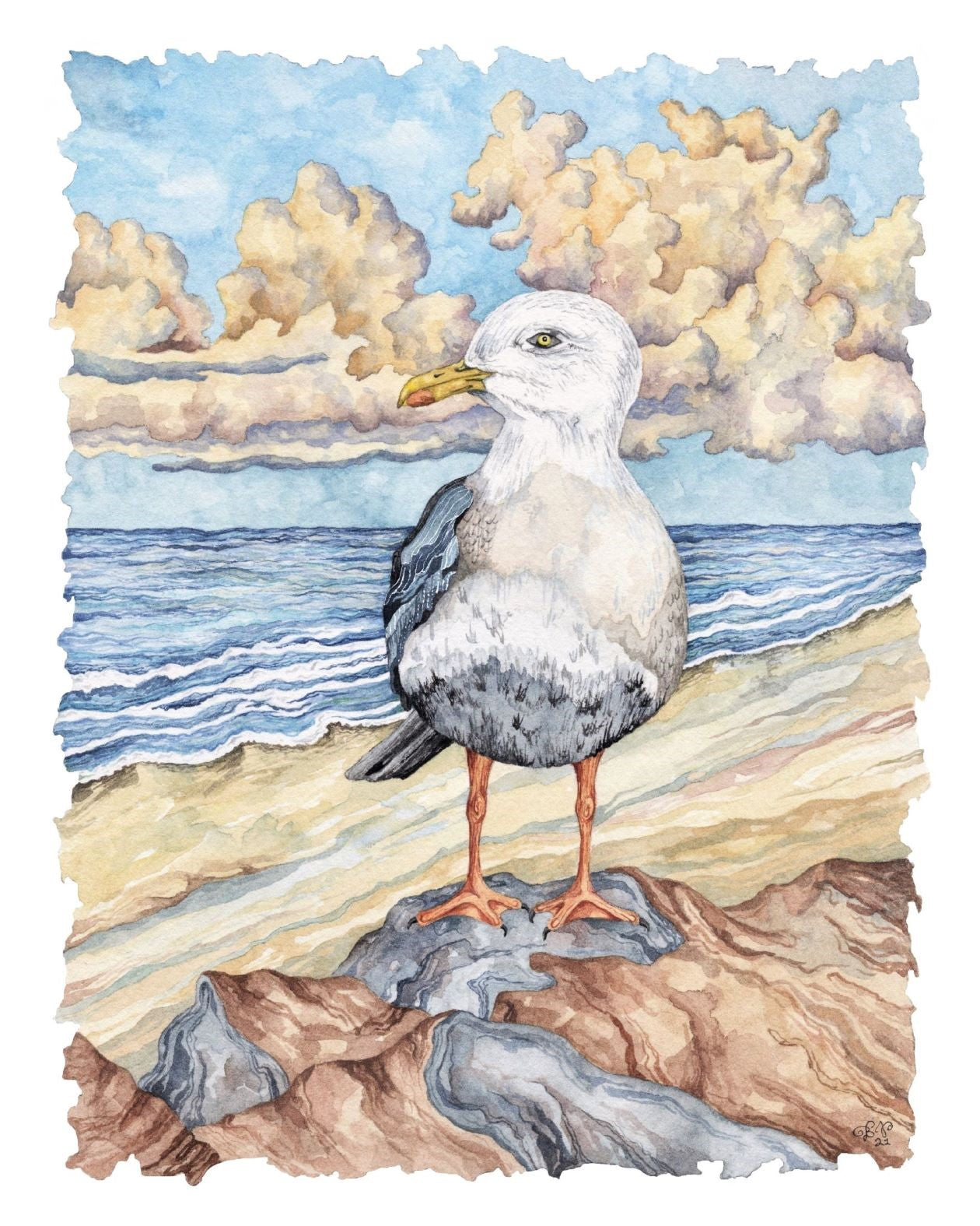 Gull's Way: Fine Art Prints in 5x7 and 8x10