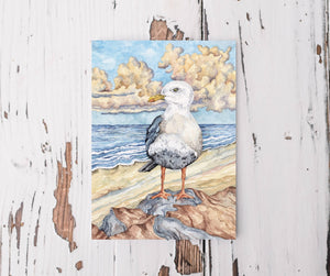 Gull's Way: Fine Art Prints in 5x7 and 8x10